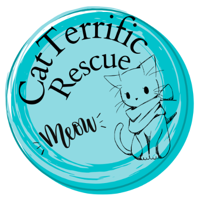 CatTerrific Rescue