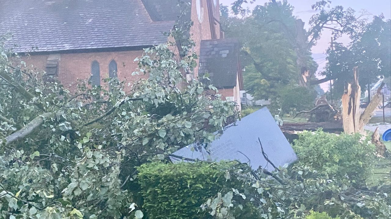Hoosick Rising Help Replace our Trees in Hoosick Falls Wood Park