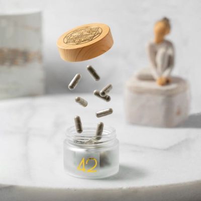 Whitney Vance Wellness