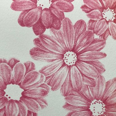 Marguerites roses item