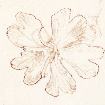 Sans titre (blanc) item
