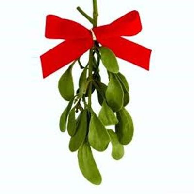 Mistletoe item