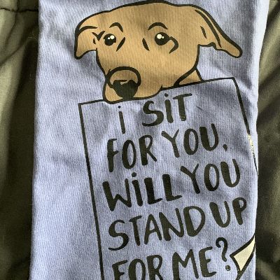 I sit for you, will you stand up for me? tshirt item