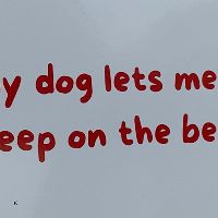 My Dog Let's Me Sleep on the Bed item