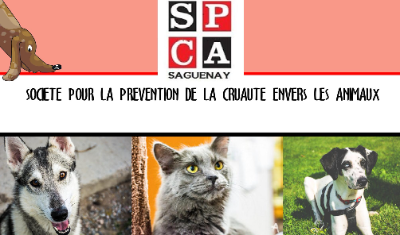 SPCA Saguenay