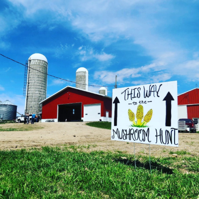 Alzheimer's Disease Research Foundation