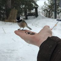 Elder Wisdom Network