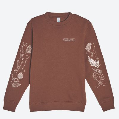 Crewneck brun ENVIRONNEMENT item