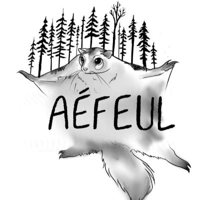 Collant Polatouche DÉJÀ VU item