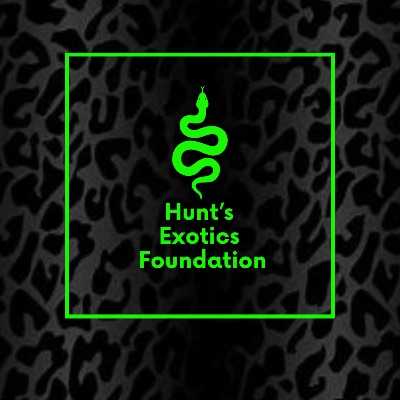 Hunts Exotics Foundation LLC