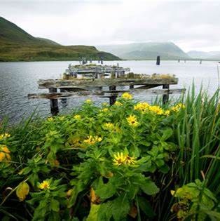 Atux̂ Forever: Restoring Attuans' Freedom