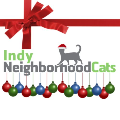 Indy Neighborhood Cats