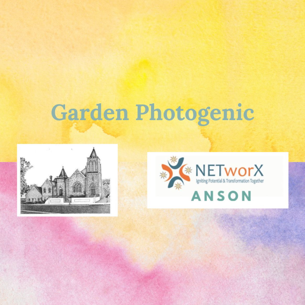 NETworX Anson County