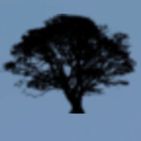 OGCM - Oak Guild Institute