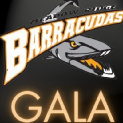 Meadow Ridge Female Minor Hockey Association