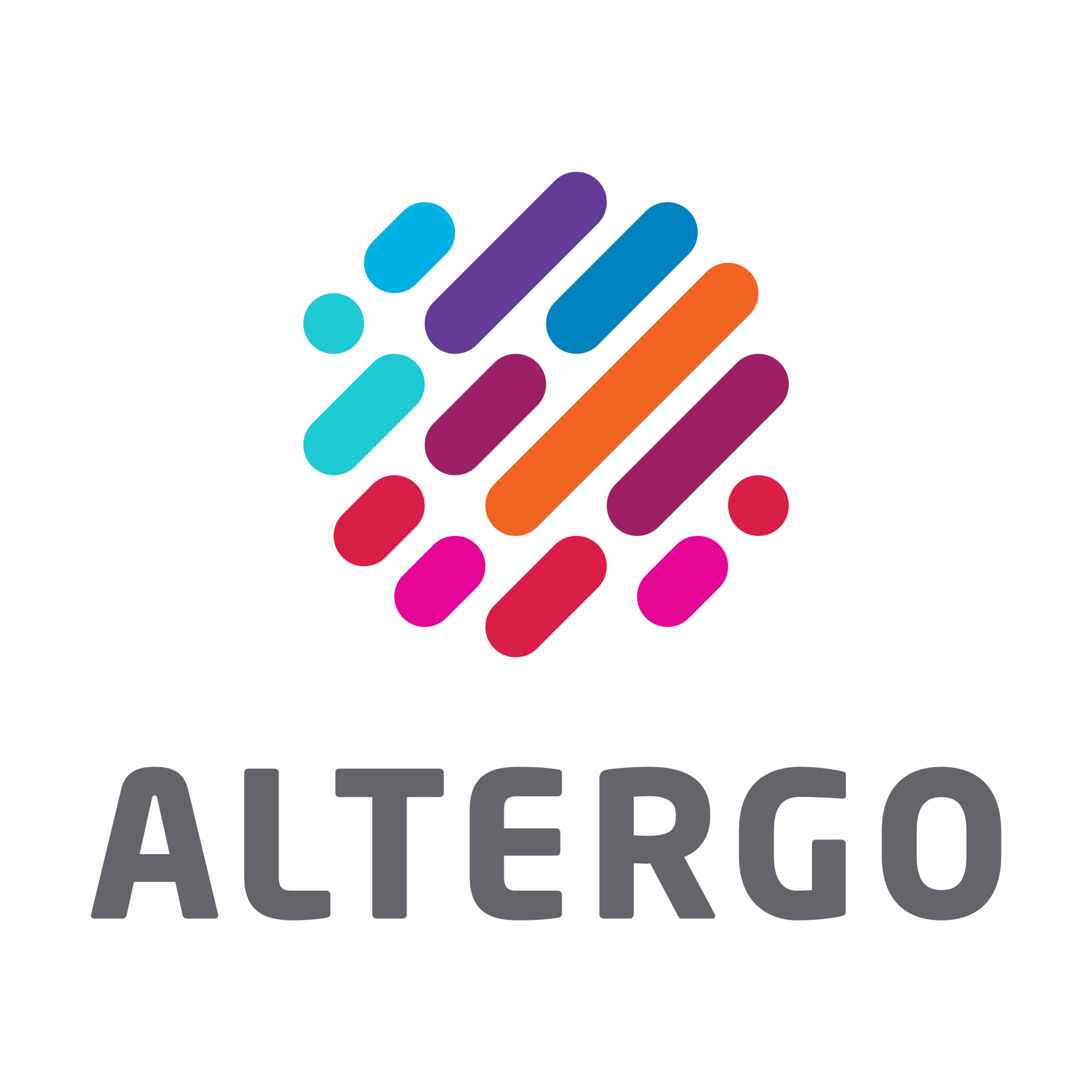 Altergo Expertise