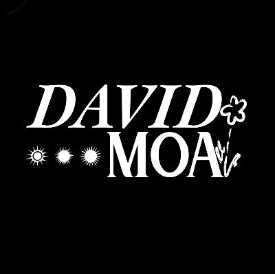 David Moa