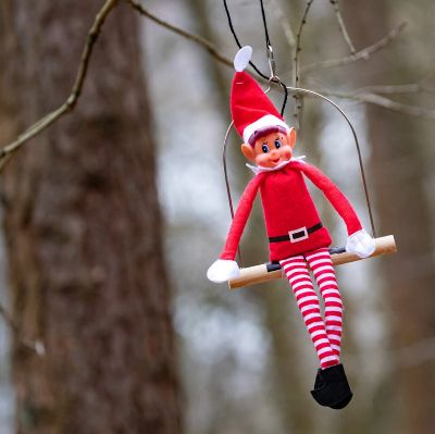 Elf Kit Light (12-days) item