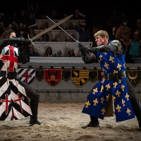 Adults Medival Times Ticket item