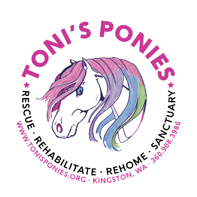 Toni's Ponies