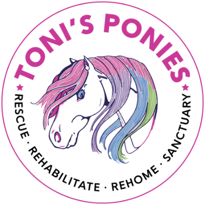 Toni's Ponies