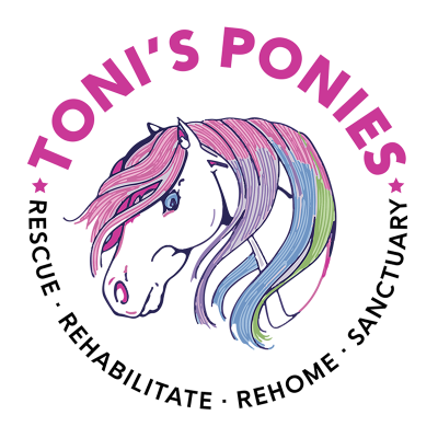Toni's Ponies