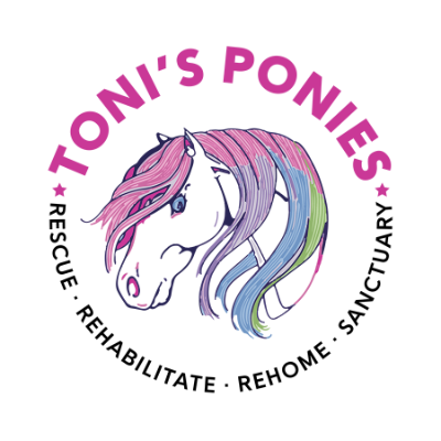 Toni's Ponies