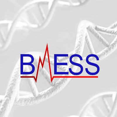 Biomedical Engineering Students' Society