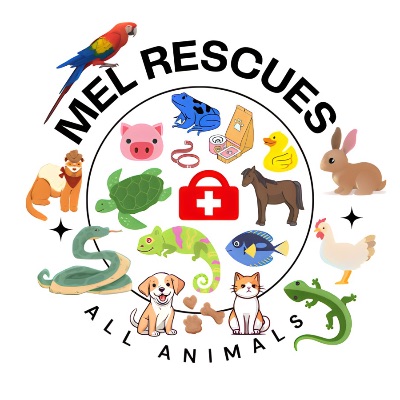 Mel Rescues All Animals Corp