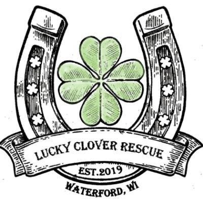 Lucky Clover Rescue