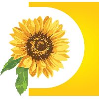 DARR Ministries, INC