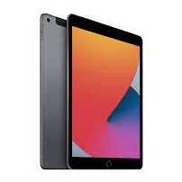 iPad - $175 per device item