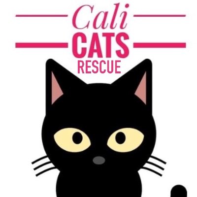 Cali Cats Rescue