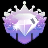 Diamond Sponsor item