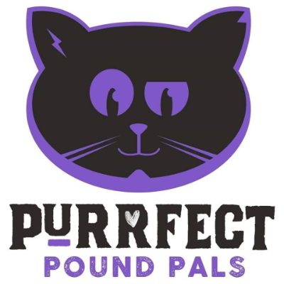 Purrfect Pound Pals