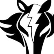 Kentridge High School Booster Club