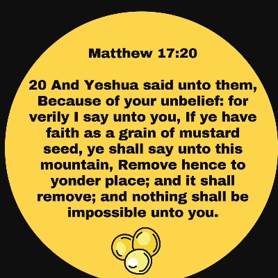 Pushed Into My Purpose - PIMP Ministries