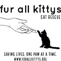 Fur All Kittys Cat Rescue