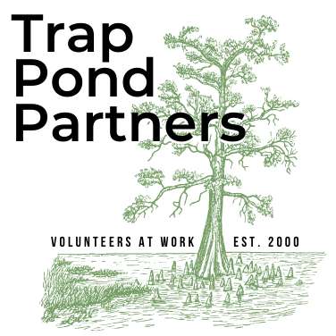 Trap Pond Partners