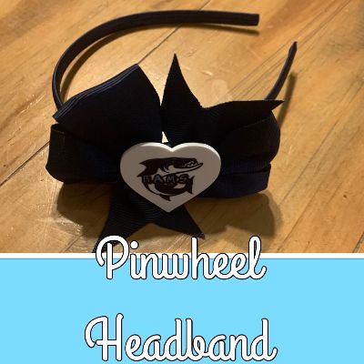 Pinwheel Headband item
