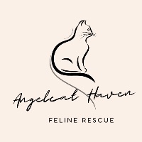 Angelcat Haven Feline Rescue