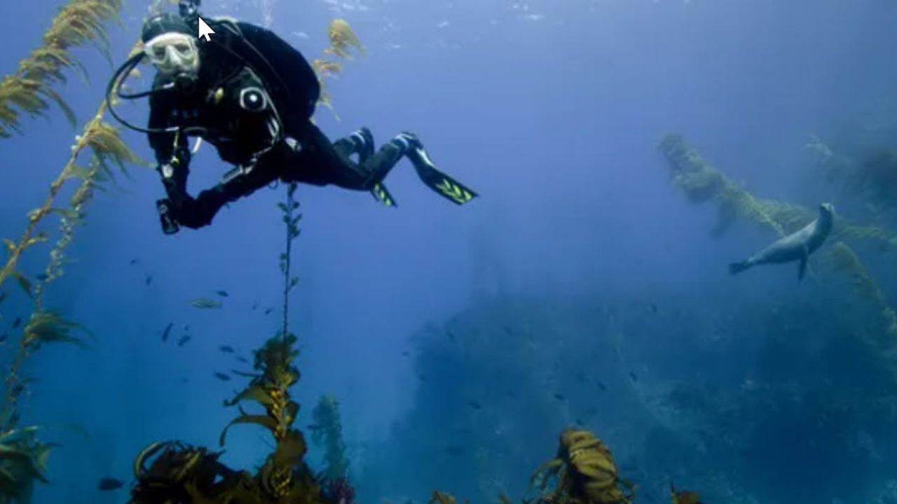 Donate to Power Scuba to make a difference