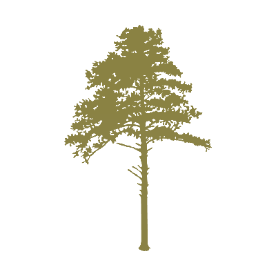 Jasper Mountain Reserve