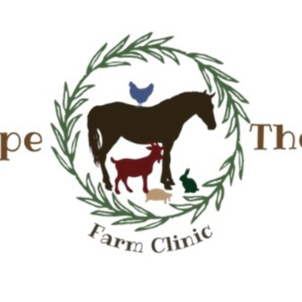 Reigning Hope Therapy Services