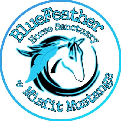 BlueFeather Horse Sanctuary and Misfit Mustangs