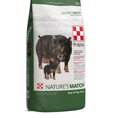 Ahimsa Animal Sanctuary NM