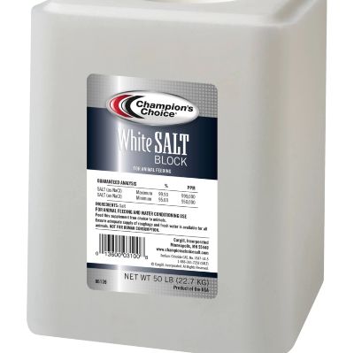 Ahimsa Animal Sanctuary NM