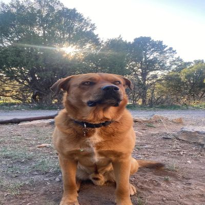 Ahimsa Animal Sanctuary NM