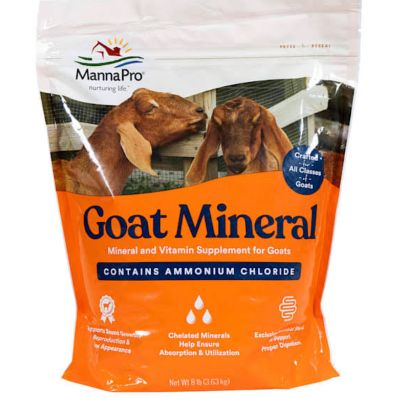 Ahimsa Animal Sanctuary NM