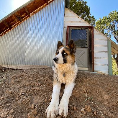 Ahimsa Animal Sanctuary NM